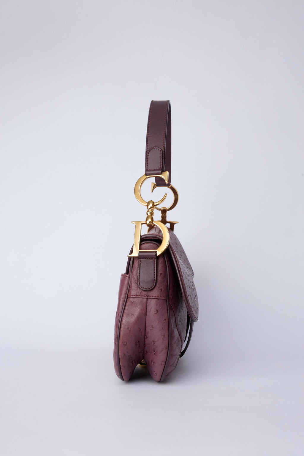 DIOR PURPLE DOUBLE SADDLE