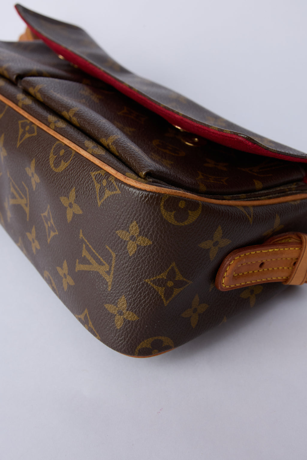 LOUIS VUITTON VIVA CITE BAG
