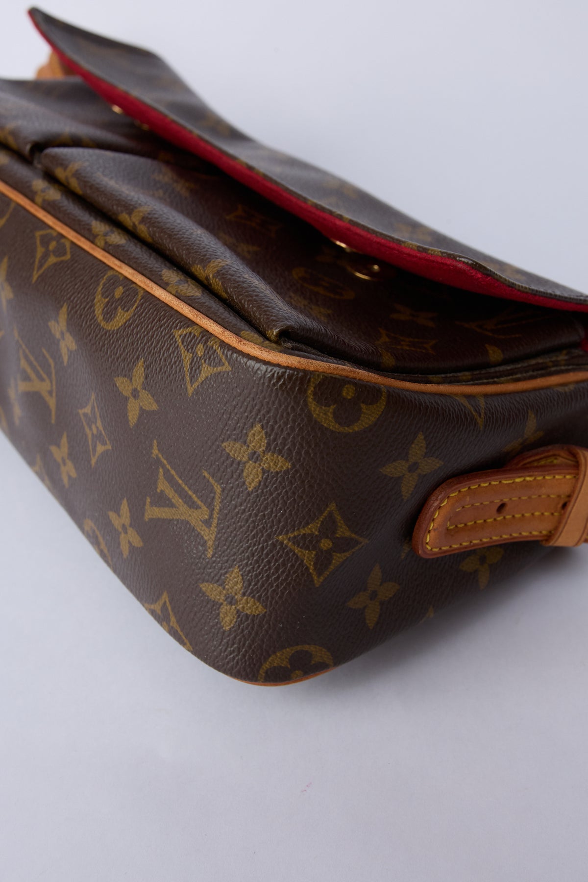 LOUIS VUITTON VIVA CITE BAG