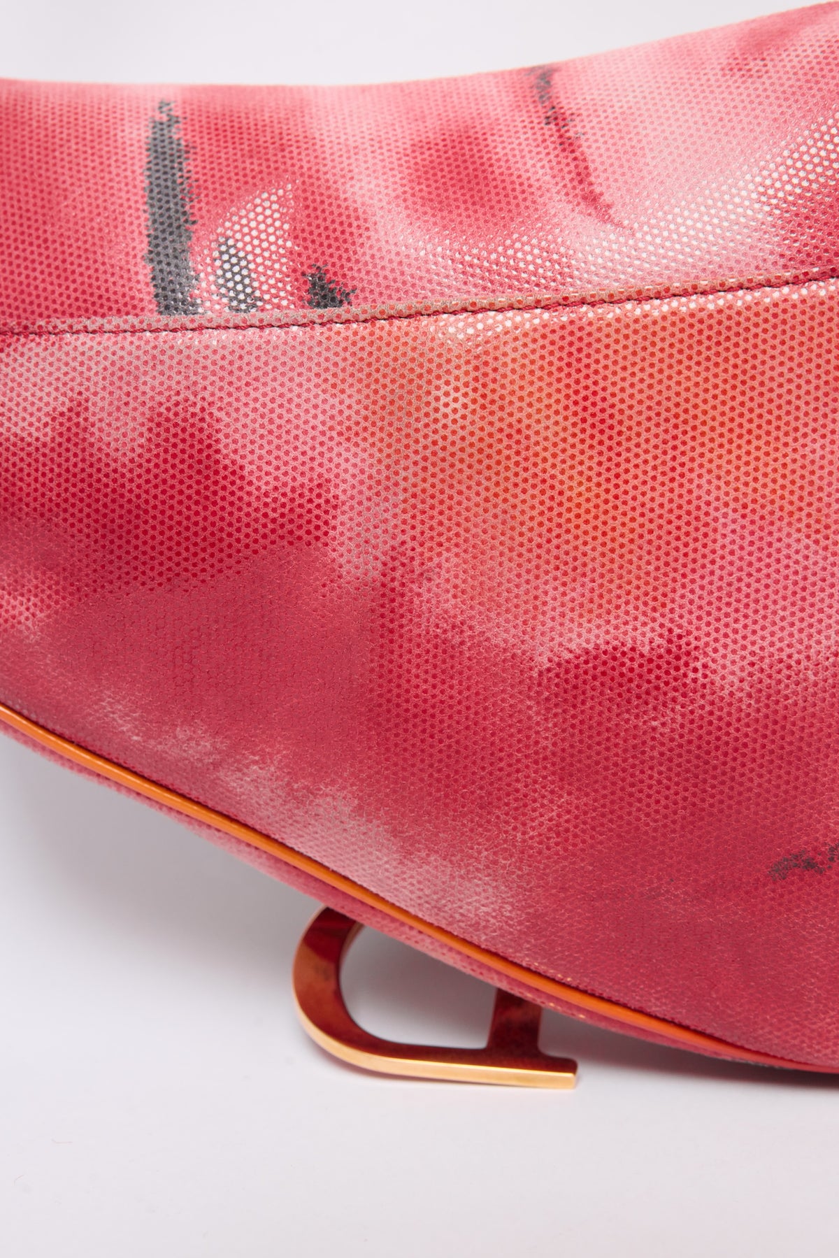 DIOR SUNSET SADDLE