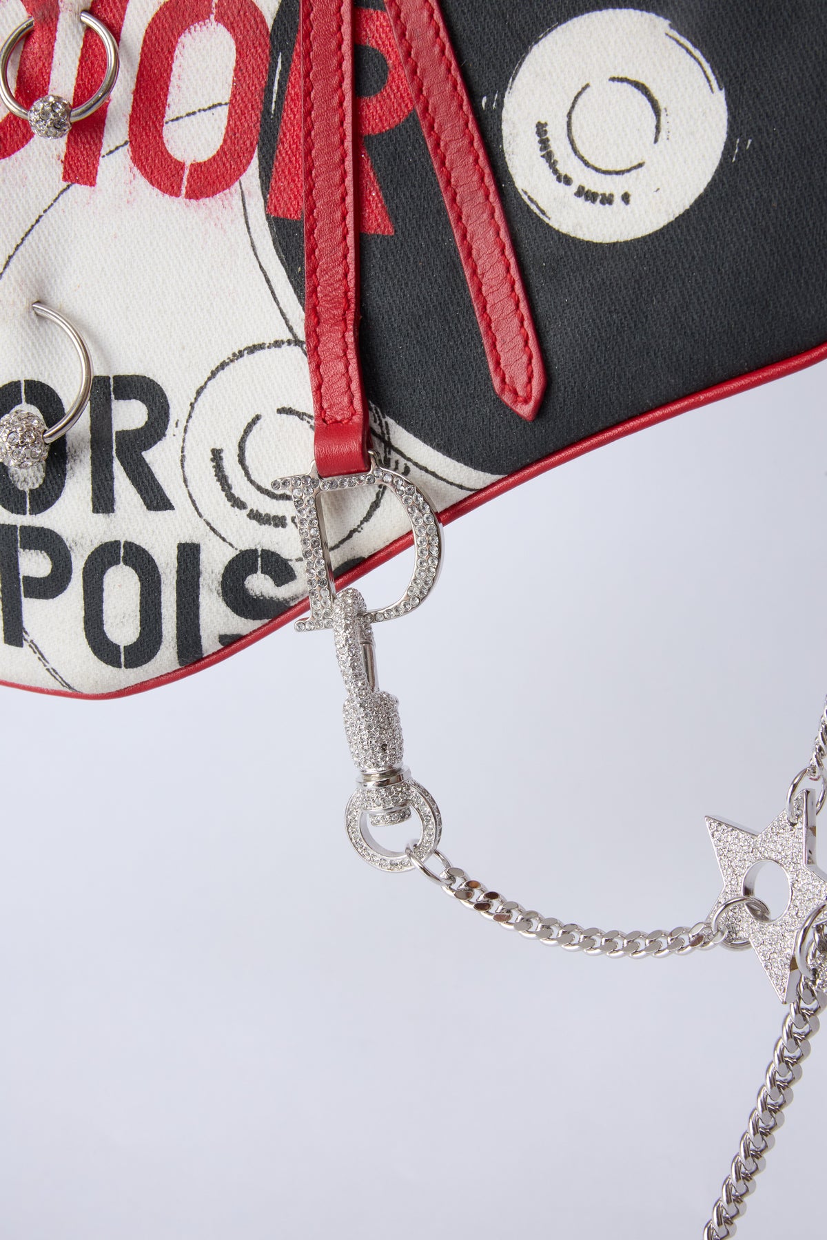 RARE DIOR POISON MINI EVENING SADDLE