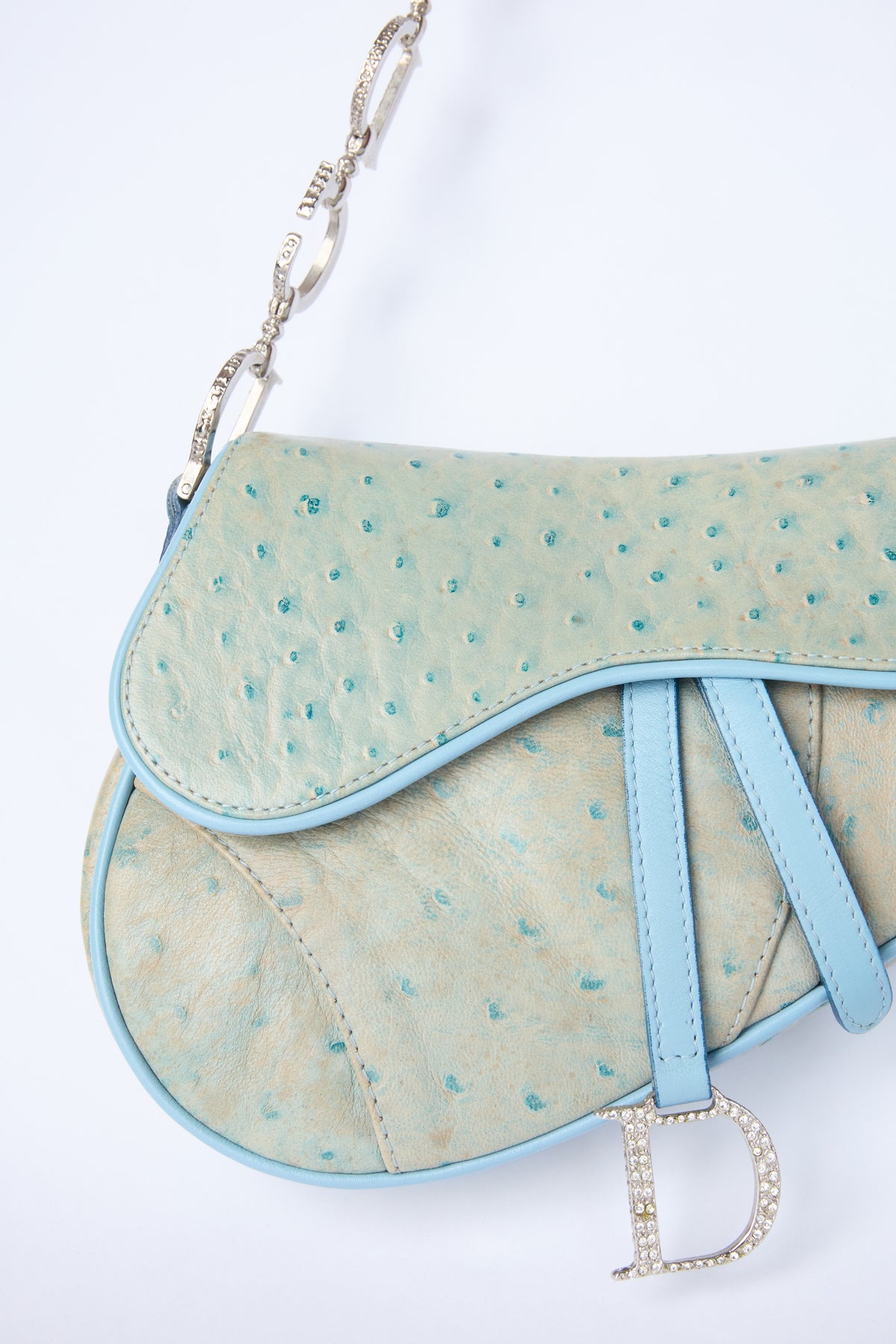DIOR MINI OSTRICH CRYSTAL SADDLE